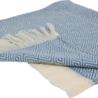 torchon bleu coton